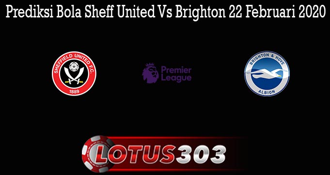 Prediksi Bola Sheff United Vs Brighton 22 Februari 2020
